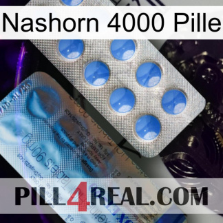 Rhino 4000 Pill 40